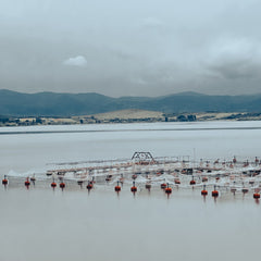 Aquaculture: Bringing Climate Resilience to Maine’s Blue Economy