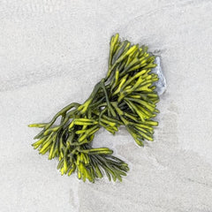 Why the seaweed sector should move beyond red and brown and start thinking green