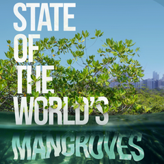 The State of the World's Mangroves