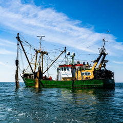 MSC's new fisheries standard unanimously approved by trustees