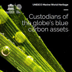 UNESCO Marine World Heritage: Custodians of the globe's blue carbon assets