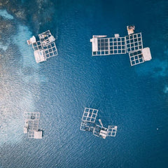 New Land-based Aquaculture Report Includes Over 400 projects