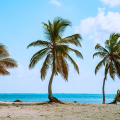 The Government of Belize partners with The Nature Conservancy to Conserve 30% of its Ocean Through Debt Conversion