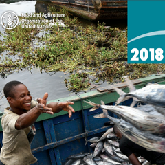 The State of World Fisheries and Aquaculture: Meeting the Sustainable Development Goals