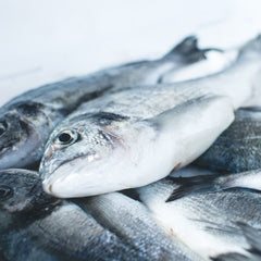 Conservation Alliance for Seafood Solutions aims for bigger impact