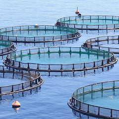 How aquaculture can contribute to climate-friendly food systems