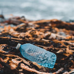 This is how to ensure sustainable alternatives to plastic