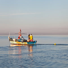The Business Case for Sustainable Seafood