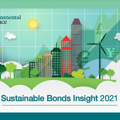 Sustainable Bonds Insight 2021