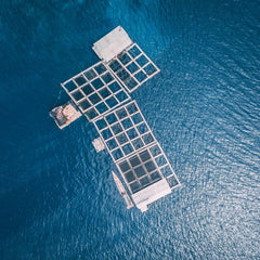 Nine Things You Probably Didn't Know About Aquaculture