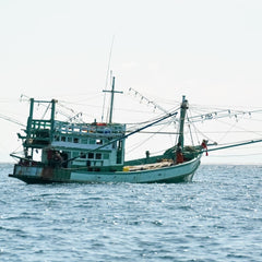 Assessing Seafood Supply Chains: New Public-Private Partnership Will Support Companies in Assessing IUU Fishing Risks Using Vessel Data