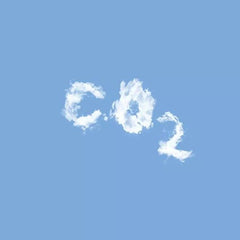 What’s the Value of Carbon?