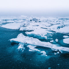 Why the ocean is our ally in fighting climate change: experts tell Radio Davos their hopes for COP26