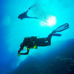 A deeper dive into the blue economy: the role of the diving sector in conservation and sustainable development goals