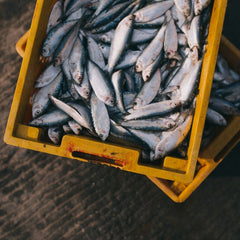 The 2021 World Food Prize recognizes that fish are key for reducing hunger and malnutrition