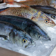 Increasing production of aquatic foods a win-win for people and planet