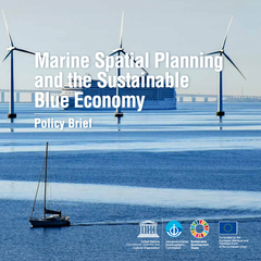 Marine Spatial Planning and the Sustainable Blue Economy