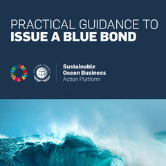 Practical Guidance to Issue a Blue Bond