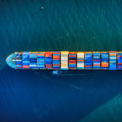 The shipping industry’s fuel choices on the path to net zero