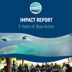 Impact Report: 5 Years of Blue Action