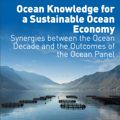 Ocean Knowledge for a Sustainable Ocean Economy: Synergies between the Ocean Decade and the Outcomes of the Ocean Panel