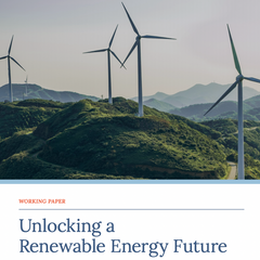 Unlocking a Renewable Energy Future: How Government Action Can Drive Private Investment