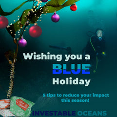 Tips for a More Sustainable Holiday Season