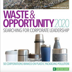 Waste and  Opportunity 2020: Searching for corporate leadership
