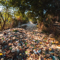 Governments agree landmark decisions to protect people and planet from hazardous chemicals and waste, including plastic waste