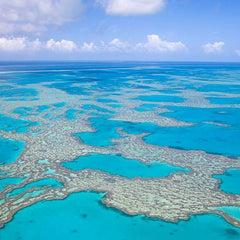 Australia marine hotspots found to store 2 billion tonnes of 'blue carbon'
