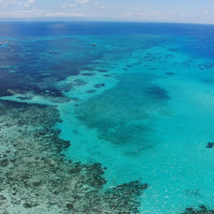 Cumulative bleaching undermines systemic resilience of the Great Barrier Reef