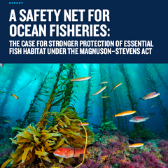 A Safety Net for Ocean Fisheries: The Case for Stronger Protection of Essential Fish Habitat Under the Magnuson-Stevens Act