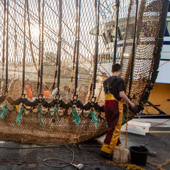 Ending overfishing is the only option