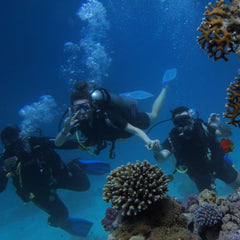 Dive tourism: how to minimize your environmental impact