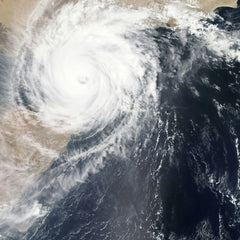 Why Investing in Climate Action Makes Good Economic Sense