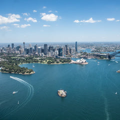 'Living seawalls' bring back biodiversity to Sydney Harbour