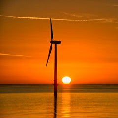 Wind turbines can breathe new life into our warming seas