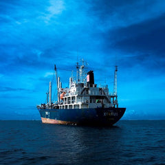 ECOsubsea scrubs ship slime to save the seas