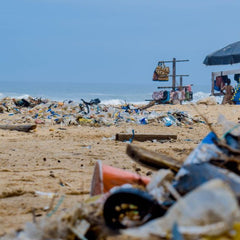 IUCN Issues Brief: Marine plastics