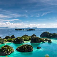 A new age of innovative blue finance to protect Southeast Asia’s ocean