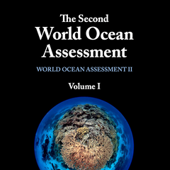 The Second World Ocean Assessment (Volume I)