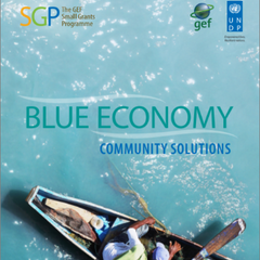 Blue Economy, Community Solutions