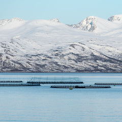 The case for fish farming - TED talk