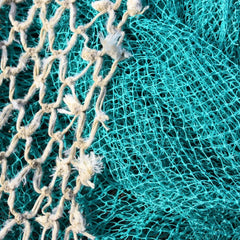 Cop26: Oceanographer Sylvia Earle calls for industrial fishing ban on high seas