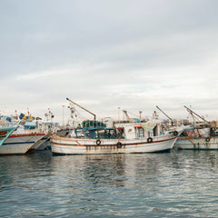 Trawling for Fish May Unleash as Much Carbon as Air Travel, Study Says