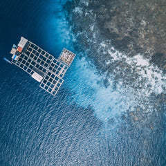 How sustainable aquaculture can help meet the growing demand for blue food