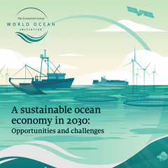 A sustainable ocean economy in 2030: Opportunities and challenges