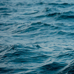 The Ocean Economy to 2050