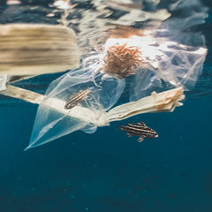 Drowning in Plastic: Ending Canada’s contribution to the global plastic disaster