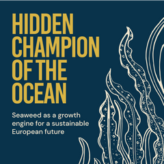 Hidden champion of the ocean: Seaweed as a growth engine for a sustainable European future